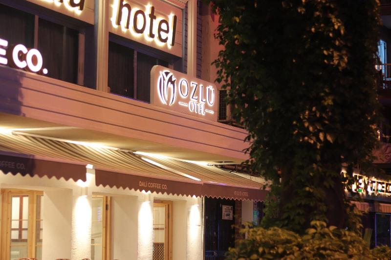Ozlu Otel — general view