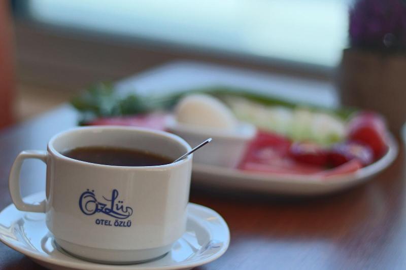 Ozlu Otel