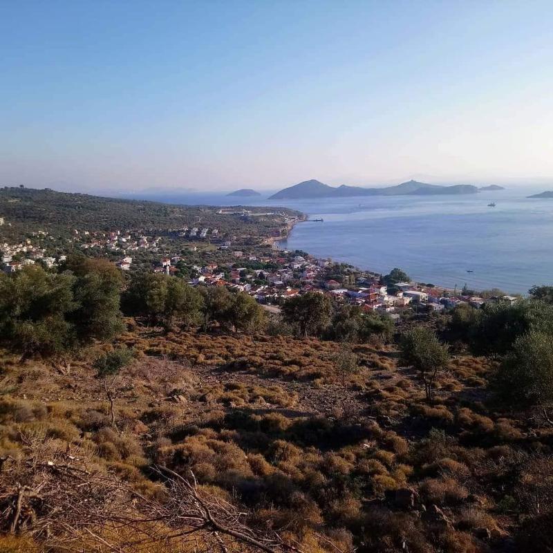 Tasev Butik Hotel