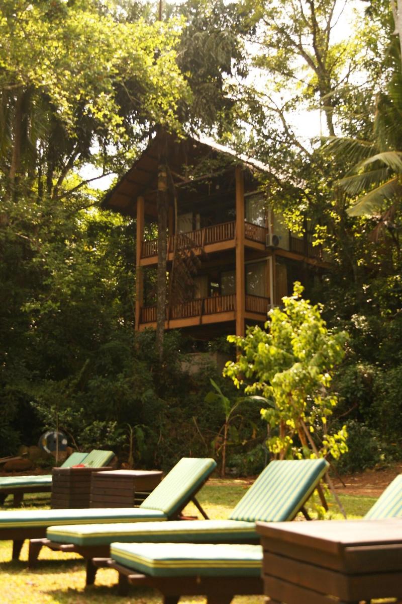 Jungle Village By Thawthisa image