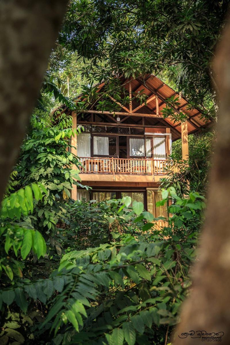 Jungle Village By Thawthisa image