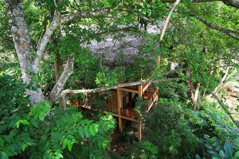 Jungle Village By Thawthisa image