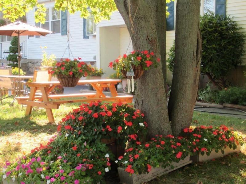 Founder's Brook Motel and Suites image