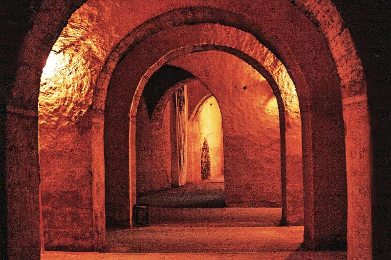 Riad Zidania image