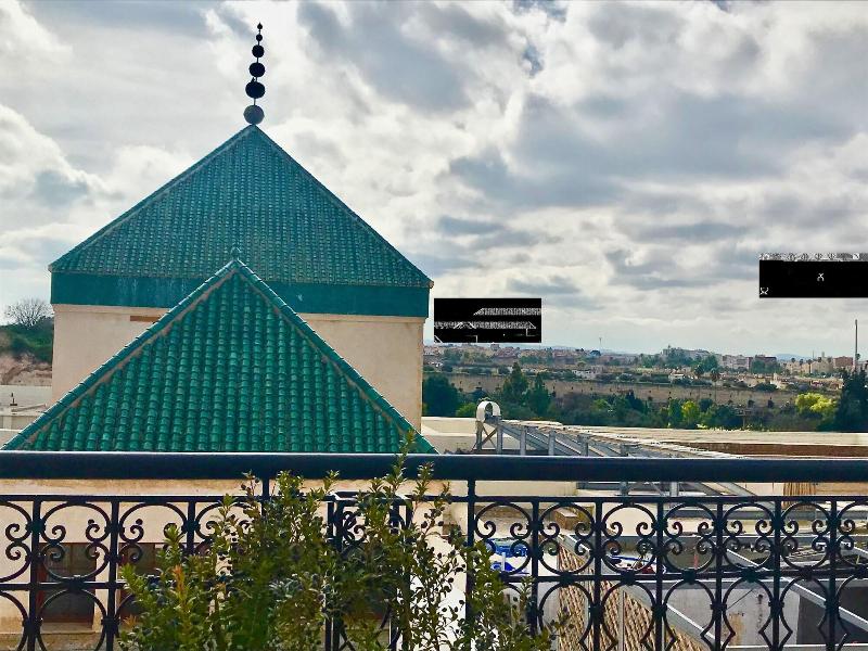 Riad Zidania image