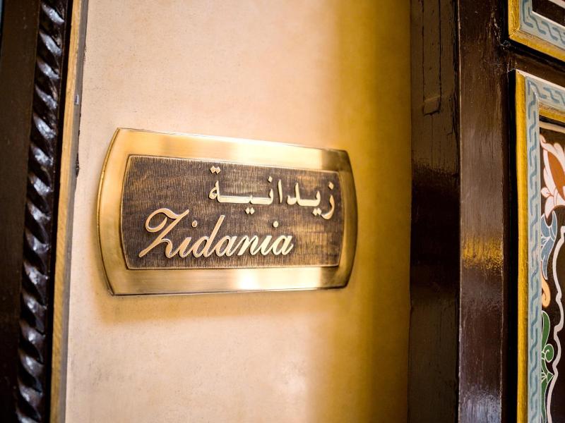 Riad Zidania image