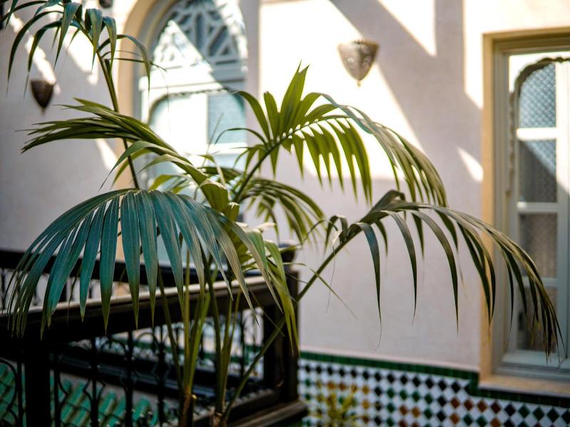 Riad Zidania image