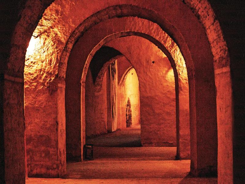 Riad Zidania image