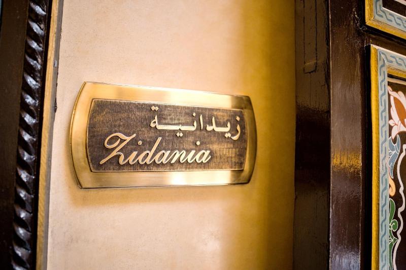 Riad Zidania image