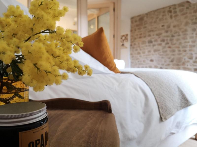 Tomette Singuliere - Chambres d'hotes image