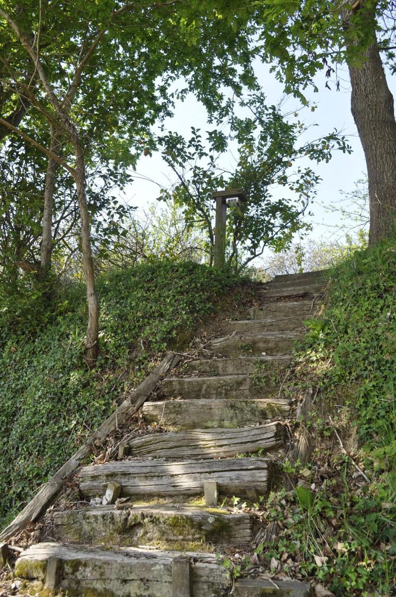 Albergue Turístico Alvarella — photo 3