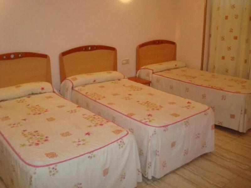 Hostal Los Rosales image
