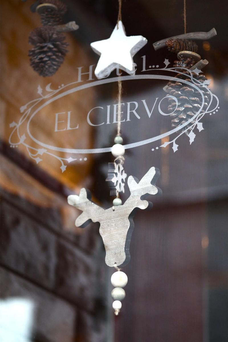 Hotel El Ciervo image