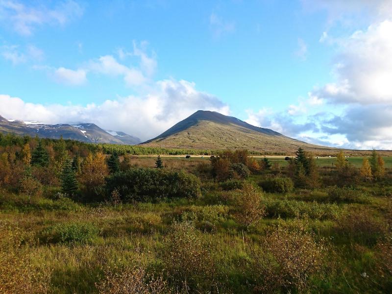 Stóra Sandfell Rooms and Cottages image