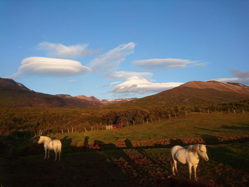 Stóra Sandfell Rooms and Cottages image