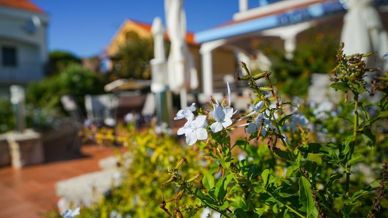 Hotel Belvedere image