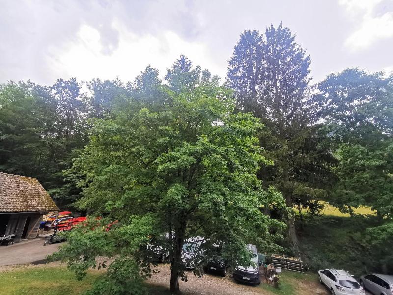 Hostel Pod Vologom image
