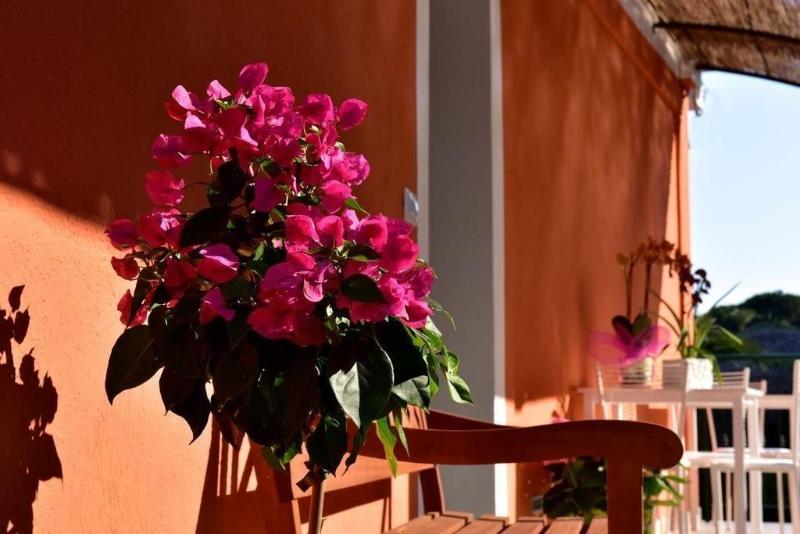 Agriturismo Un Mare Di Fiori image