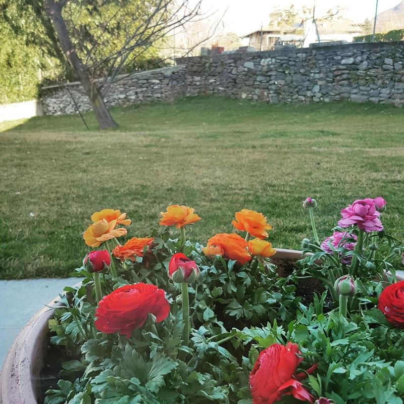 Foresteria Villa Margherita image