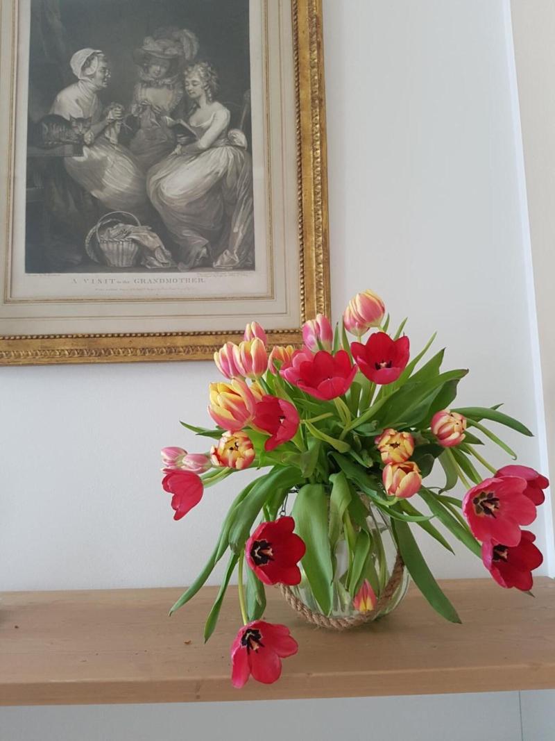 Foresteria Villa Margherita image