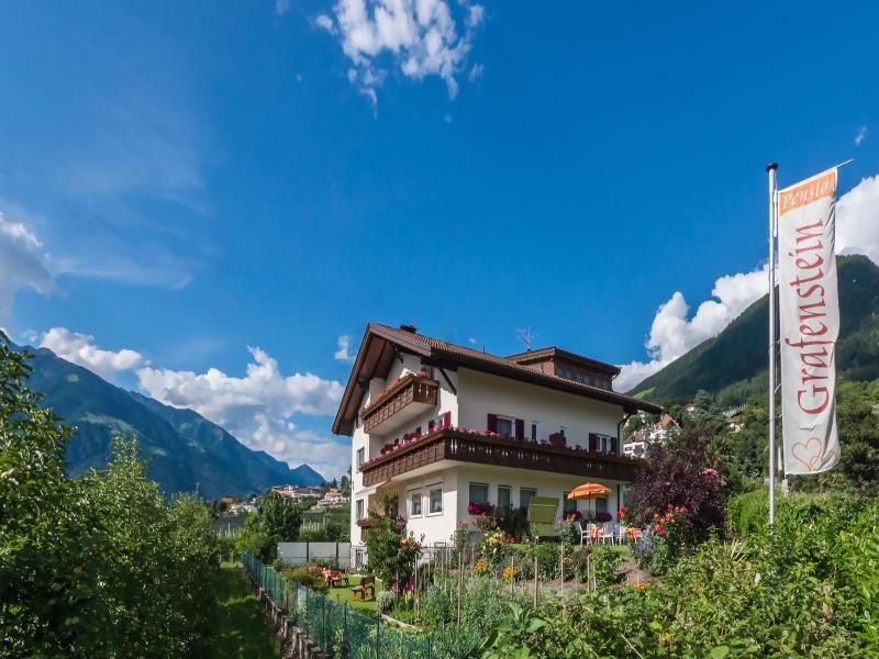 Guesthouse Pension Grafenstein image