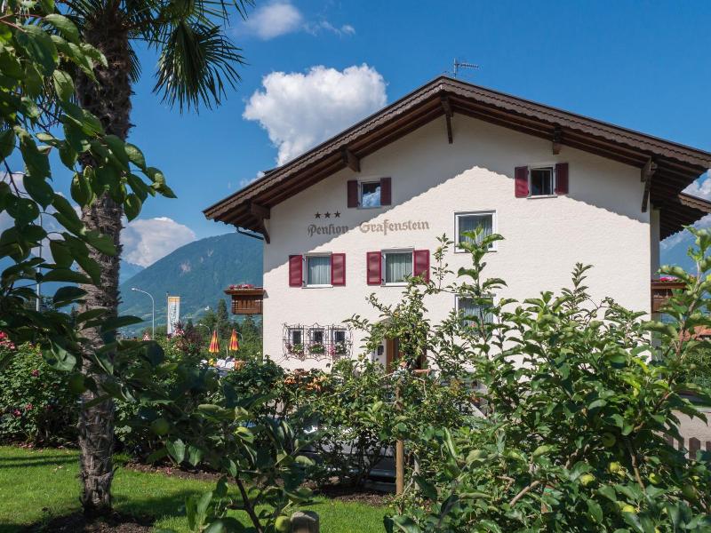 Guesthouse Pension Grafenstein image