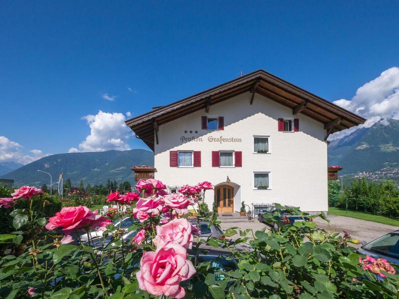 Guesthouse Pension Grafenstein image