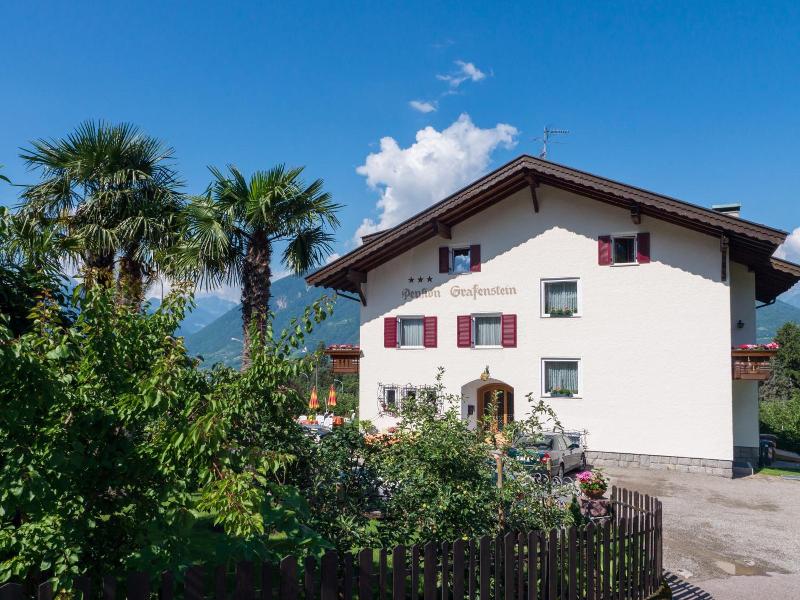 Guesthouse Pension Grafenstein image
