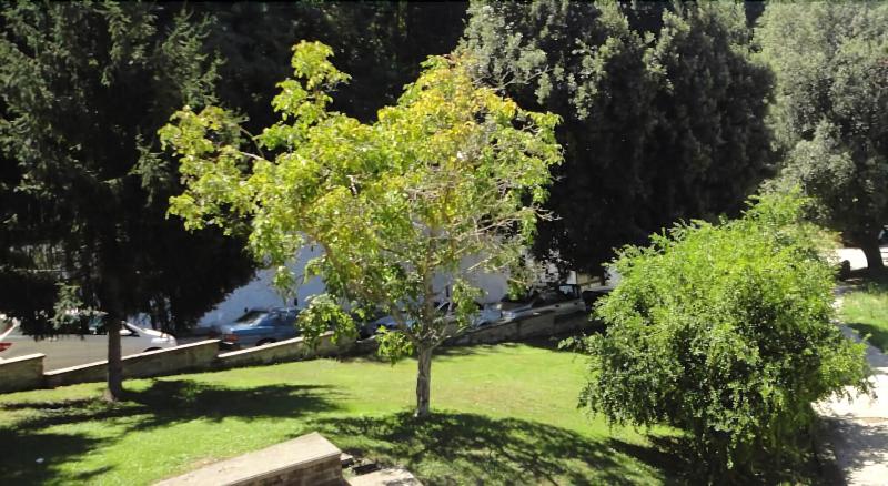 Villa Altieri image