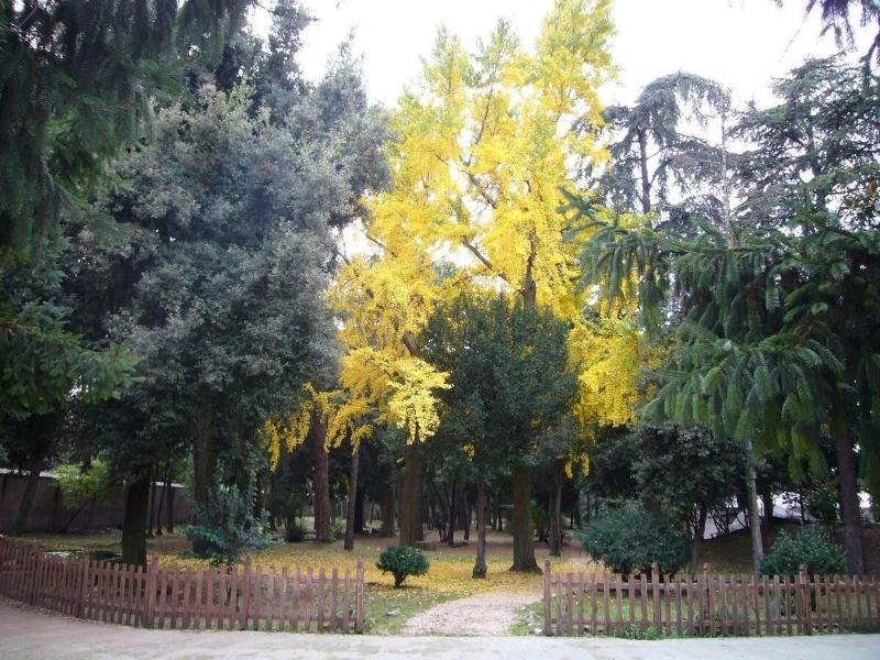 Villa Altieri image