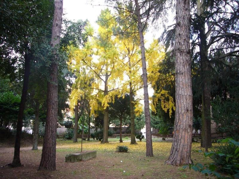 Villa Altieri image