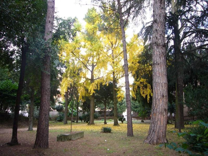 Villa Altieri image