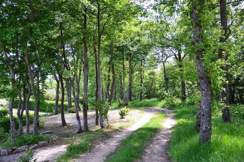 Parco Delle Stelle image