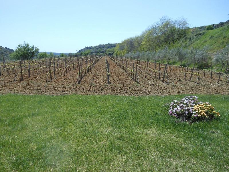 Antica Tenuta Del Nanfro image
