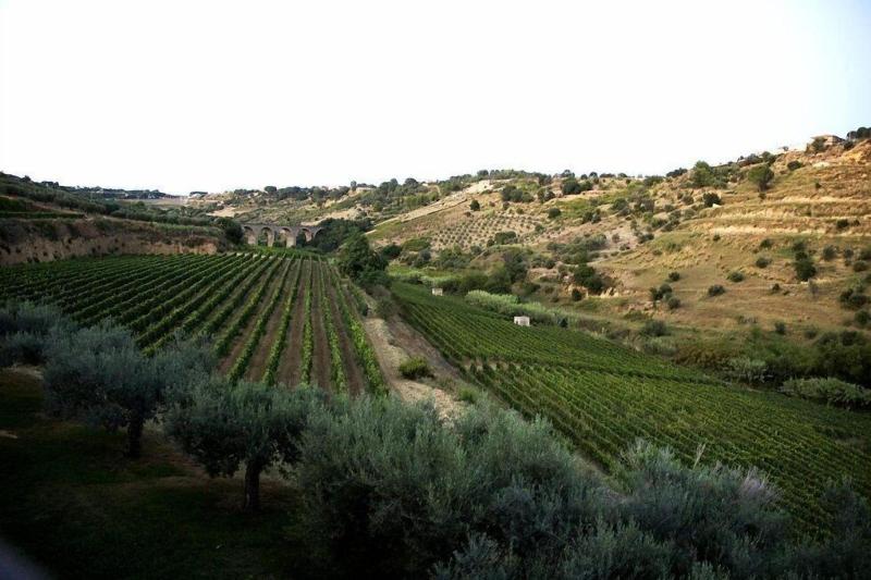 Antica Tenuta Del Nanfro image