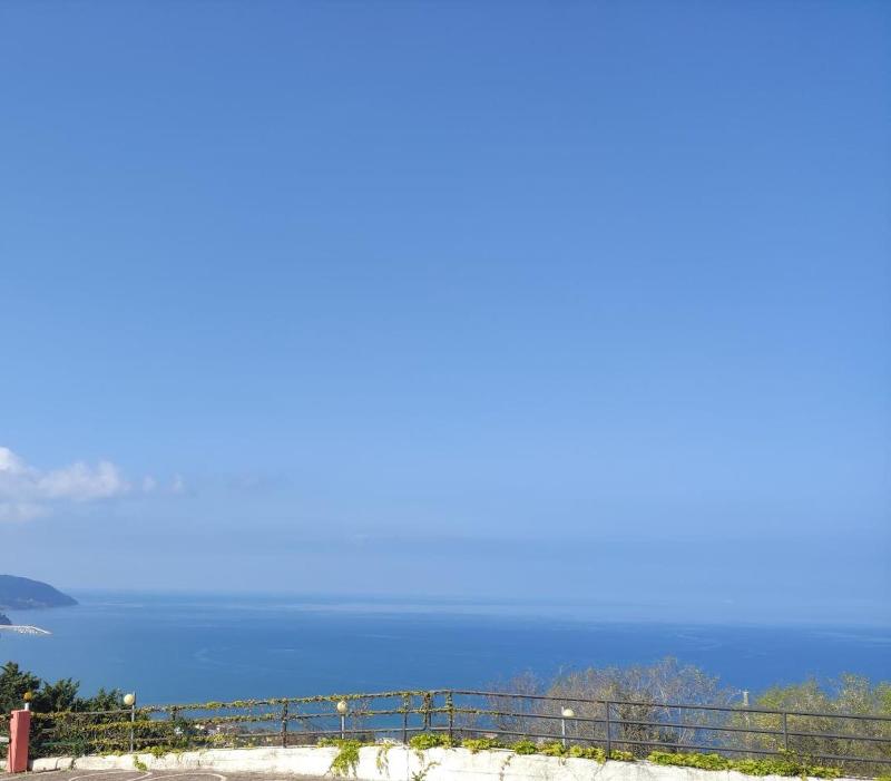 Le Terrazze image