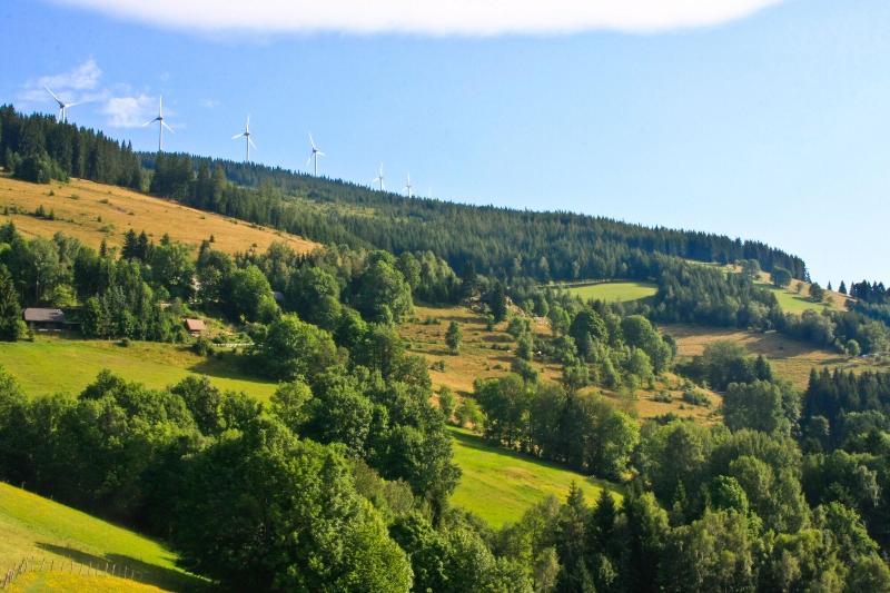 Gasthof Willenshofer image