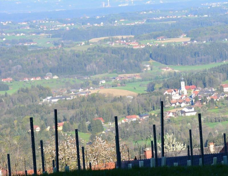 Weingut Seiner vlg. Kraxner image