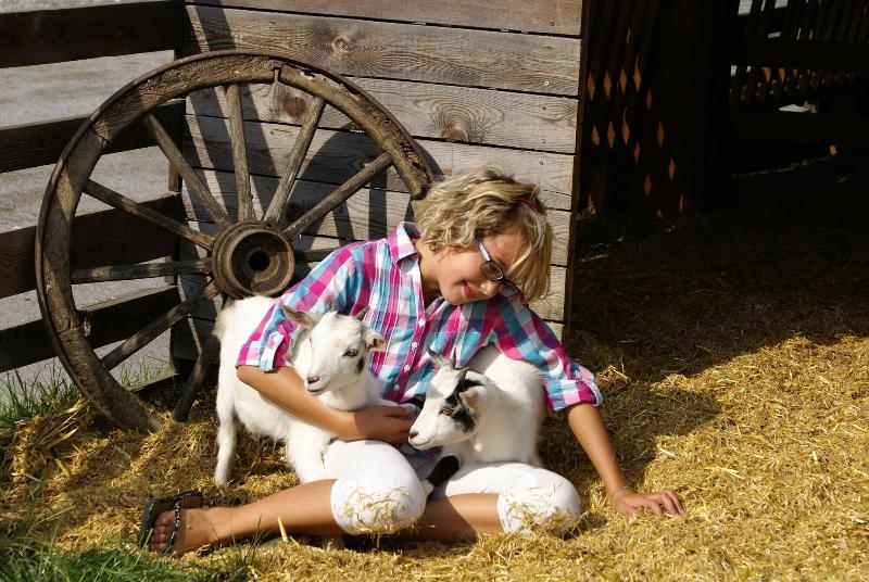 Hotel Bachmayerhof image