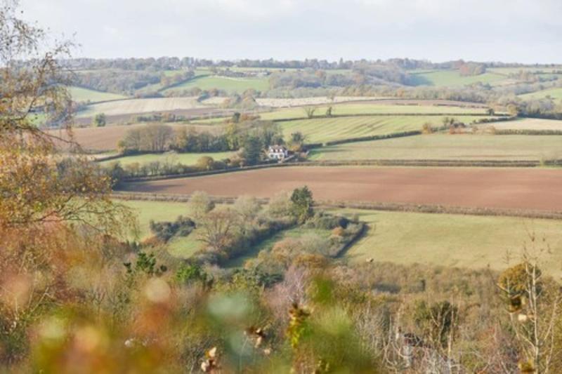 The Quarrymans Arms image