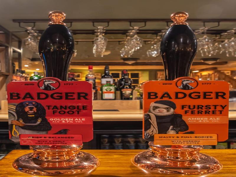 The Red Lion image