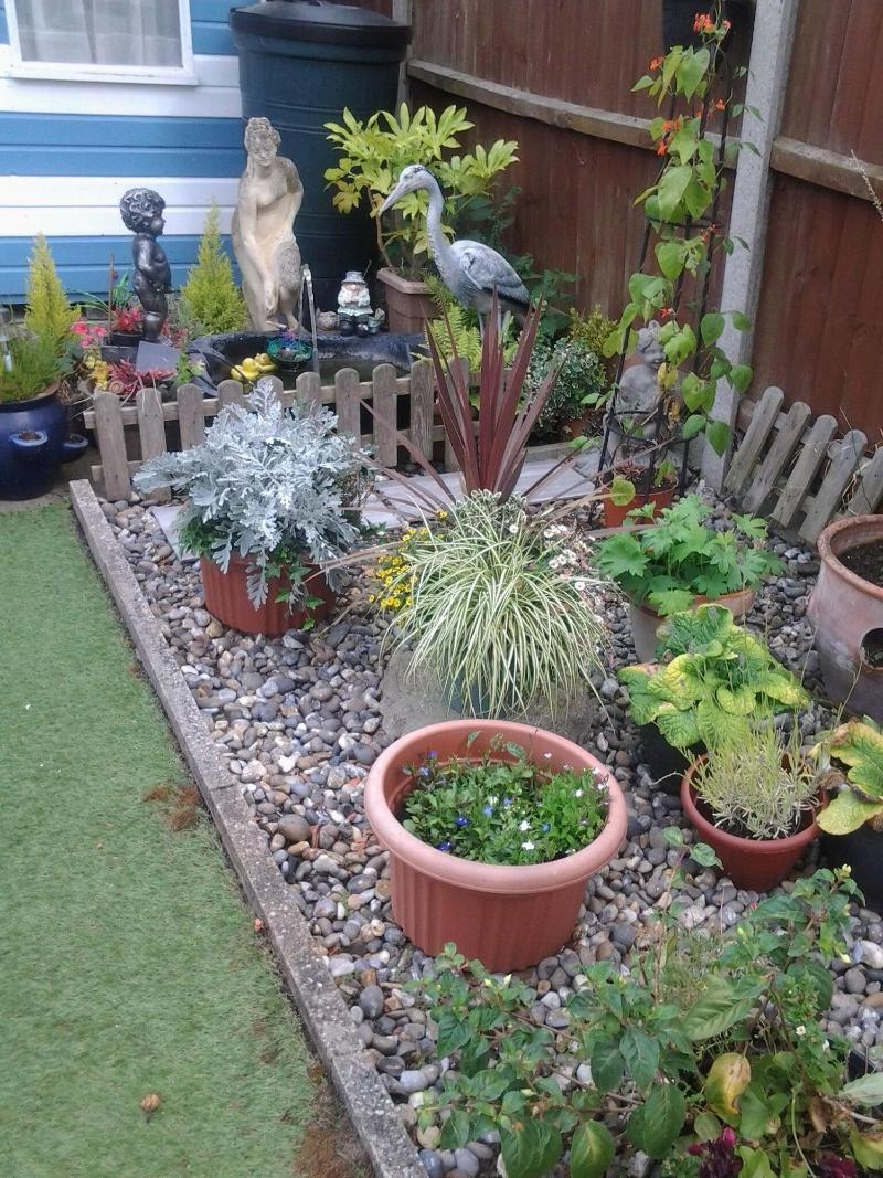 Rosevale Bed & Breakfast image