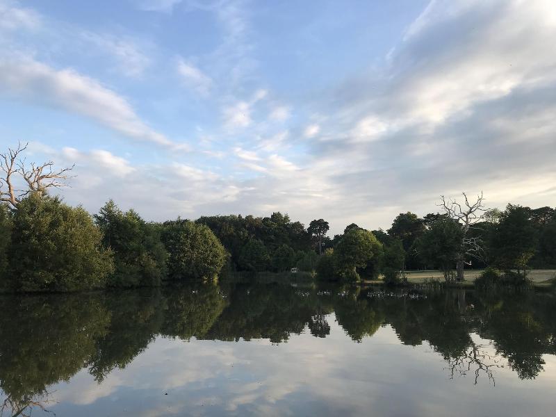 Netley Hall image