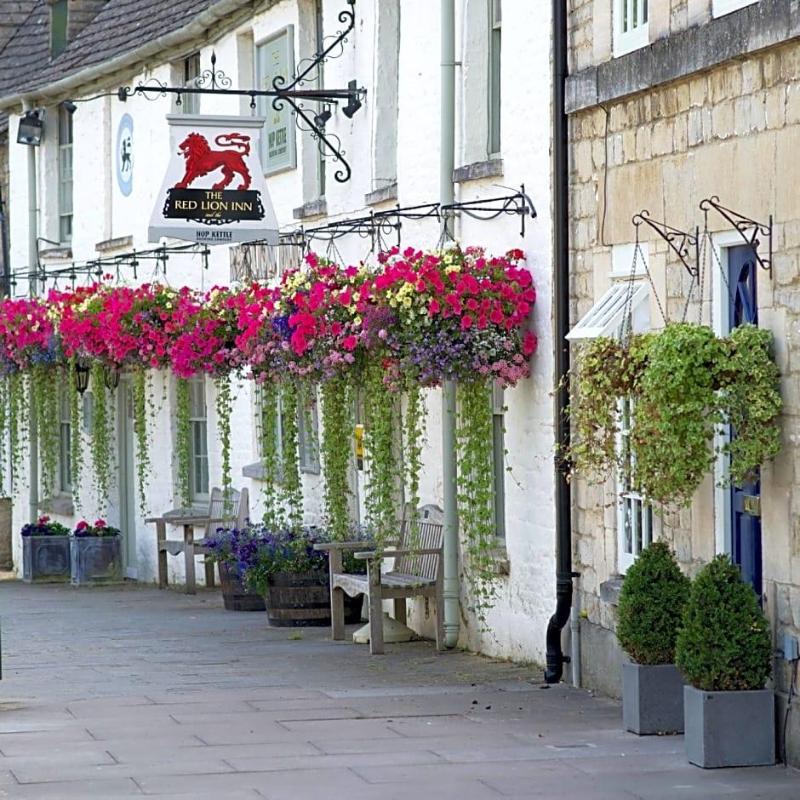 The Red Lion image