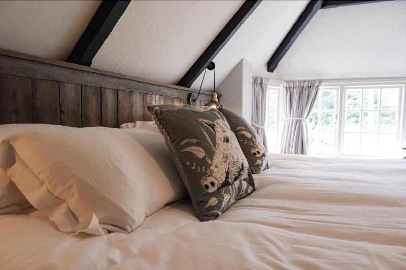 Castle Inn image