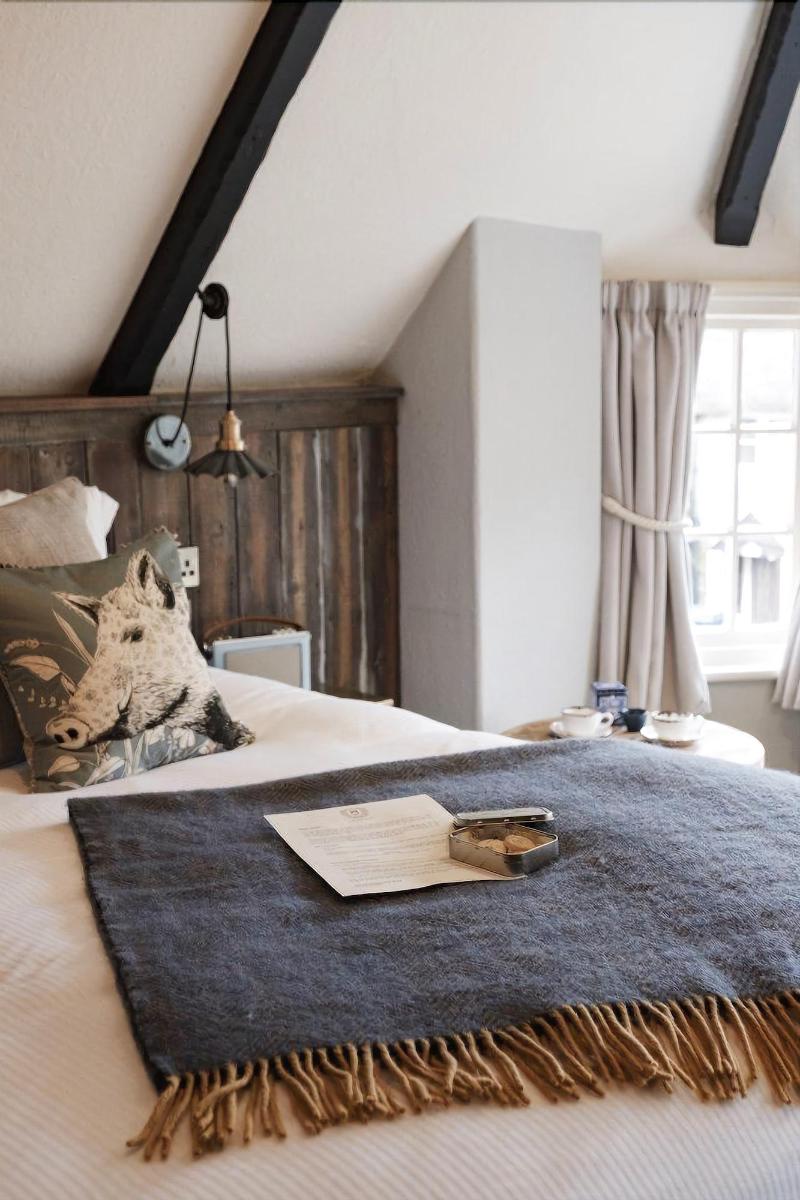 Castle Inn image