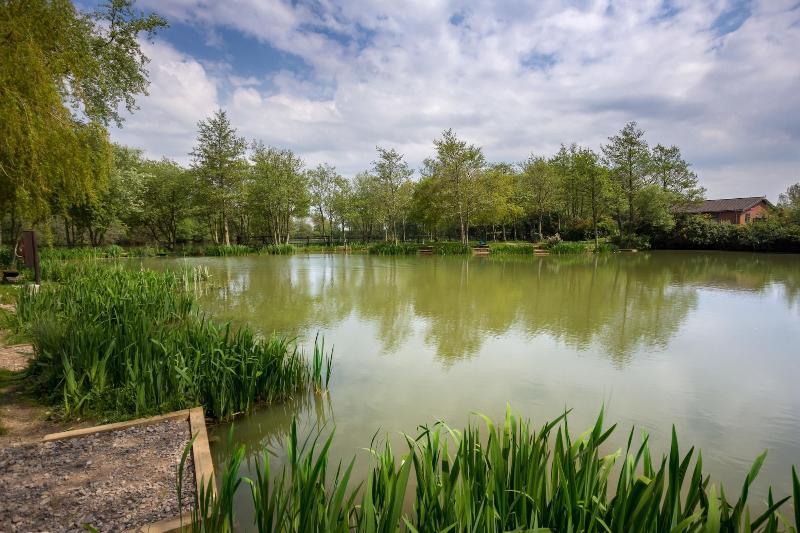 The Lakes Rookley image
