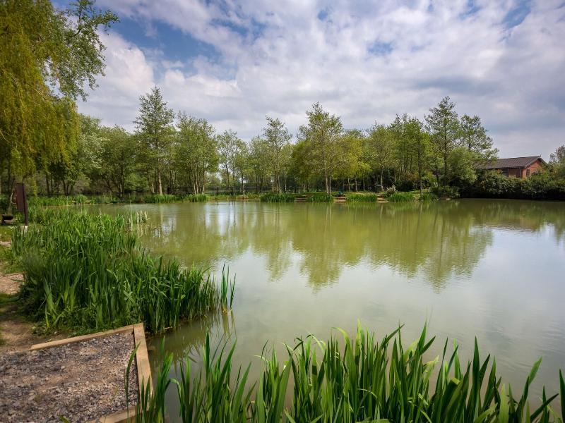 The Lakes Rookley image