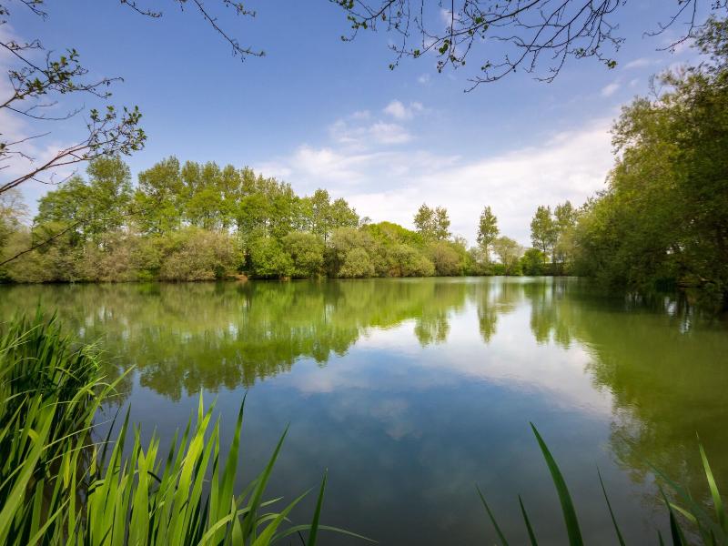 The Lakes Rookley image