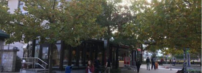 City Hotel image